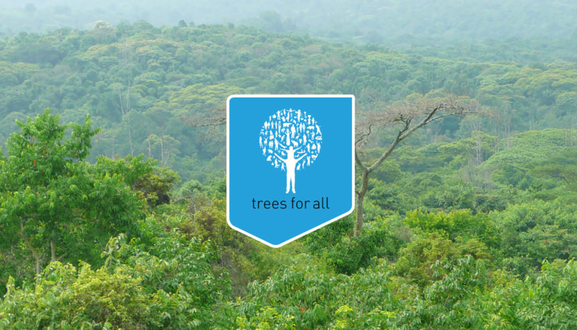 Orange Juice Waarom Wij Met Trees For All Samenwerken